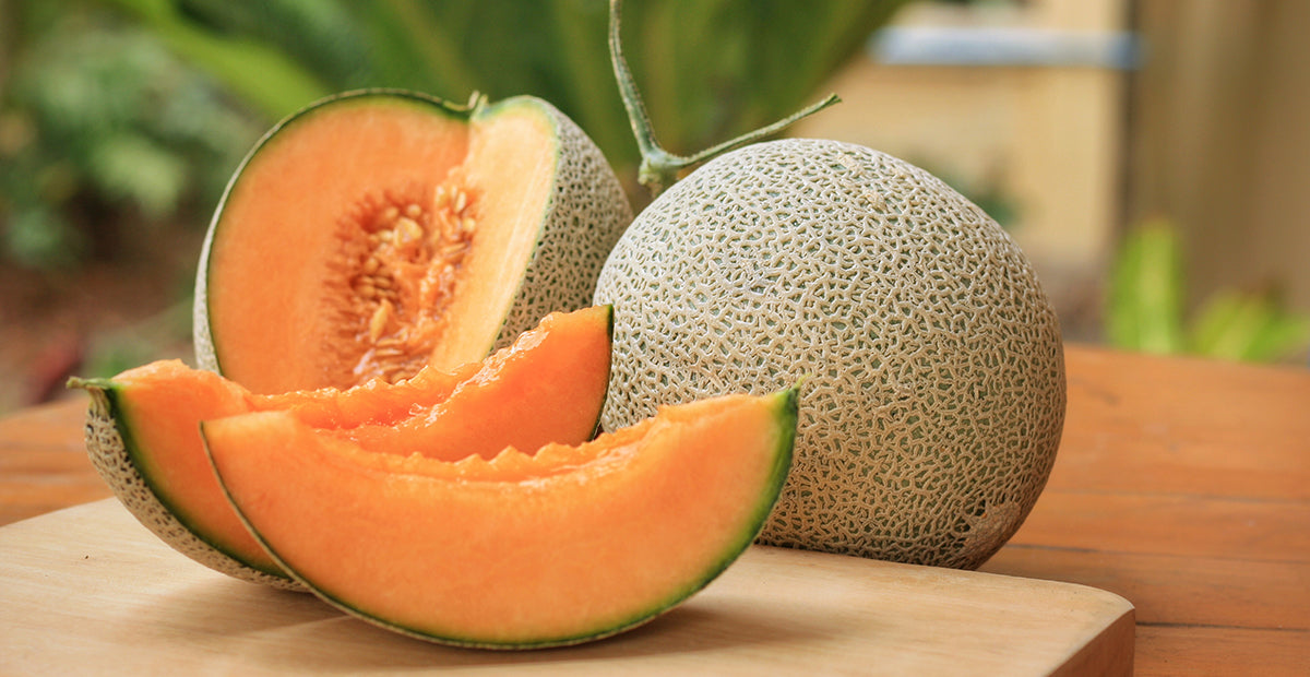 gezondheidsvoordelen van cantaloupe meloen