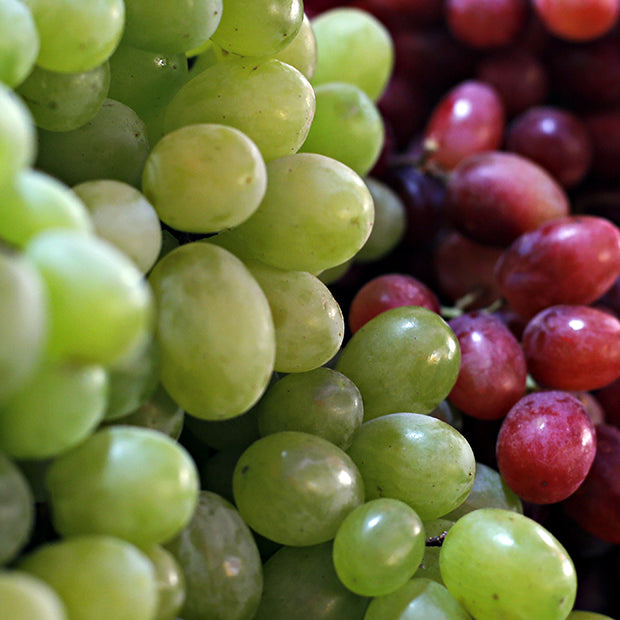gezondste druiven