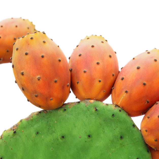cactusvijg dieet