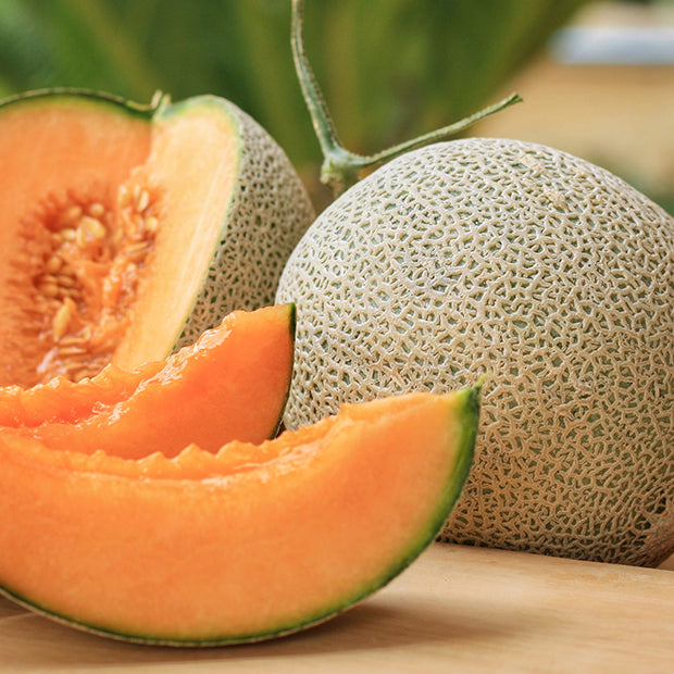 gezondheidsvoordelen van cantaloupe meloen