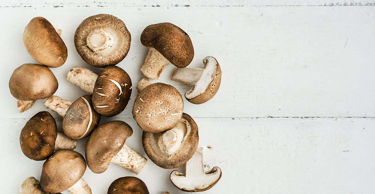 eetbare paddenstoelen